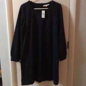 Loft long sleeved shift dress NWT